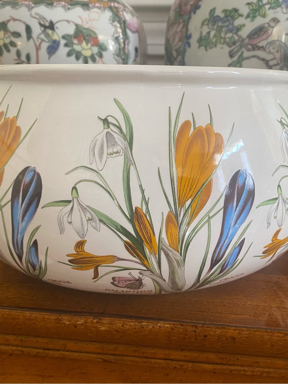 Rare Portmeirion The Botanic Garden Snowdrop&Crocus Planter/Cachepot, England - Picture 2 of 7